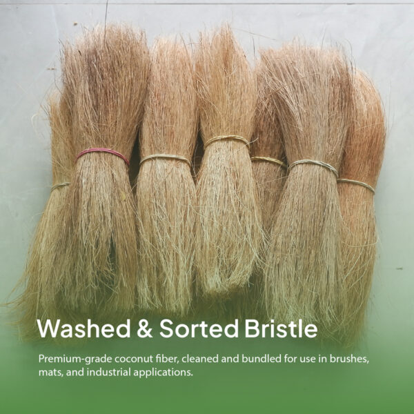 Coco Bristle (Coconut Fiber Brushes) - Gambar 3