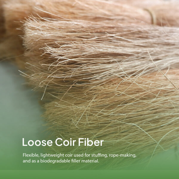 Coco Bristle (Coconut Fiber Brushes) - Gambar 2