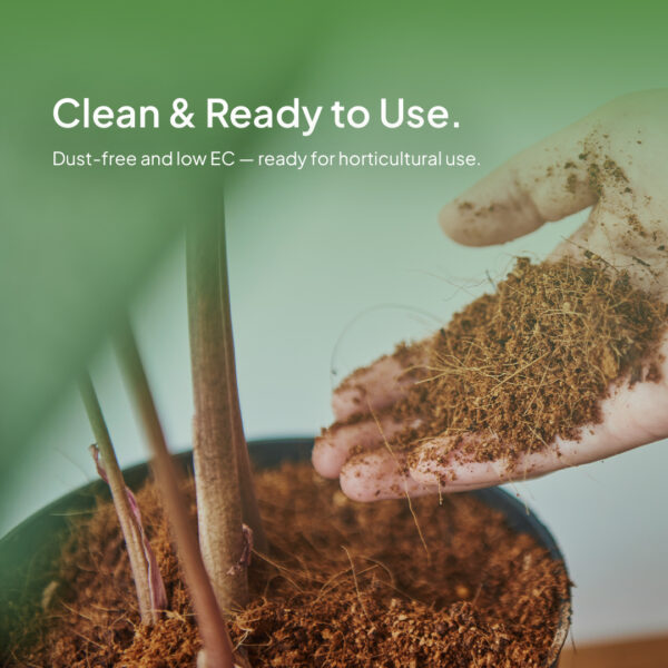 The soft, aerated texture protects roots during transplanting and supports faster plant recovery